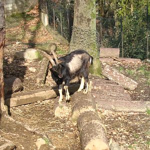 Giardino Zoologico Pistoia