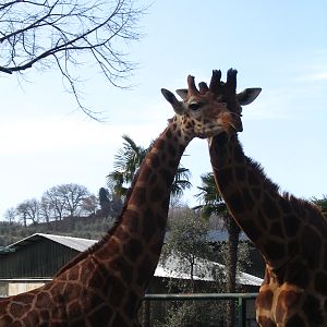 Giardino Zoologico Pistoia