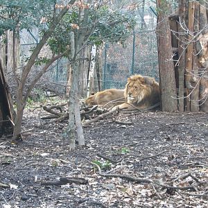 Giardino Zoologico Pistoia
