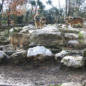 Giardino Zoologico Pistoia