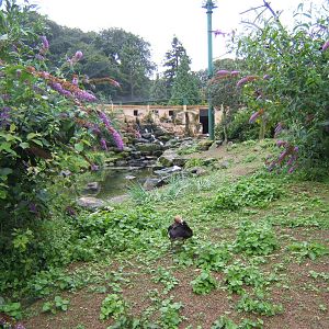 View inside the African Aviary
