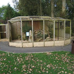 Burrowing Owl Aviary