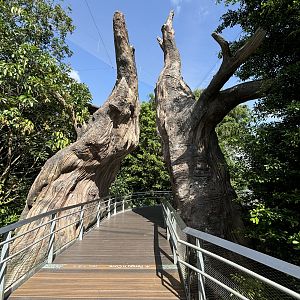 4-Acre Heart of Africa Aviary
