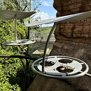 Feeding Dishes in 4-Acre Heart of Africa Aviary