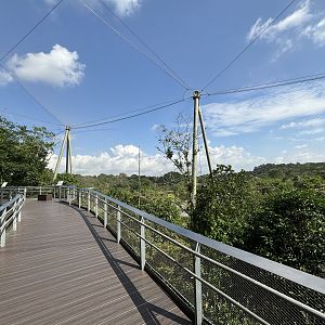 4-Acre Heart of Africa Aviary