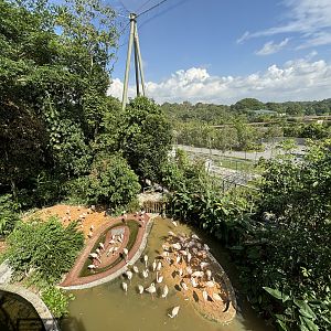 4-Acre Heart of Africa Aviary