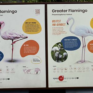 4-Acre Heart of Africa Aviary