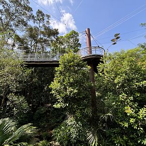 4-Acre Heart of Africa Aviary