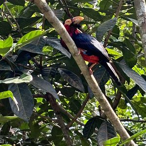 4-Acre Heart of Africa Aviary