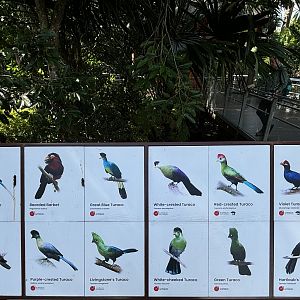 Circa 75 Species in 4-Acre Heart of Africa Aviary