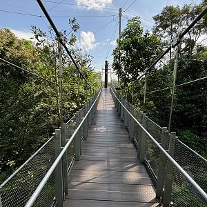 4-Acre Heart of Africa Aviary