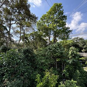 4-Acre Heart of Africa Aviary