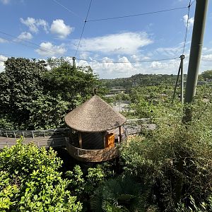 4-Acre Heart of Africa Aviary