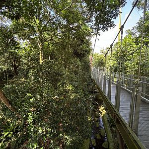 4-Acre Heart of Africa Aviary