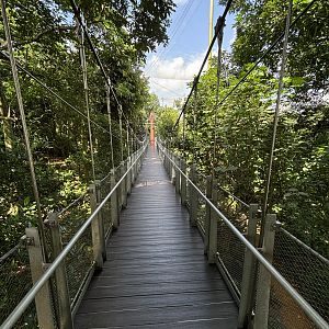4-Acre Heart of Africa Aviary