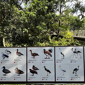 Circa 75 Species in 4-Acre Heart of Africa Aviary