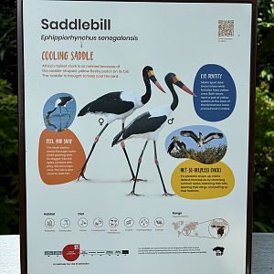 4-Acre Heart of Africa Aviary