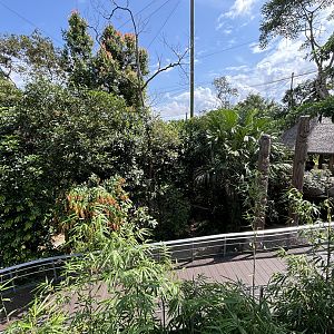 4-Acre Heart of Africa Aviary