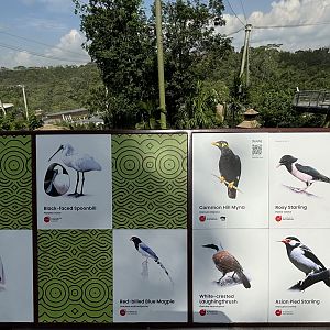 Circa 50 Species in 2-Acre Wings of Asia Aviary