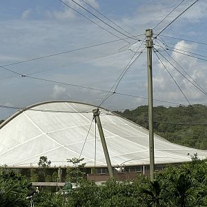 Amphitheater - bird show arena