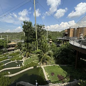 2-Acre Wings of Asia Aviary