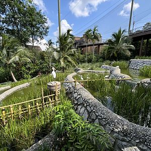 2-Acre Wings of Asia Aviary