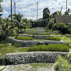 2-Acre Wings of Asia Aviary