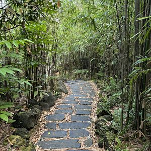 2-Acre Wings of Asia Aviary