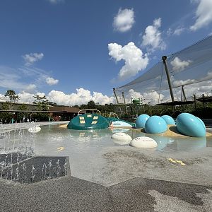 Egg Splash Zone - play area