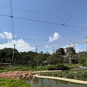 3-Acre Crimson Wetlands Aviary
