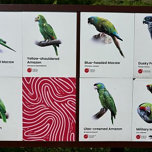 Circa 45 Species in 3-Acre Crimson Wetlands Aviary