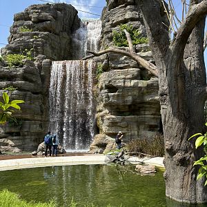 3-Acre Crimson Wetlands Aviary
