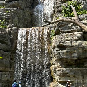 Wow! 3-Acre Crimson Wetlands Aviary