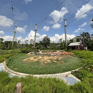 3-Acre Crimson Wetlands Aviary