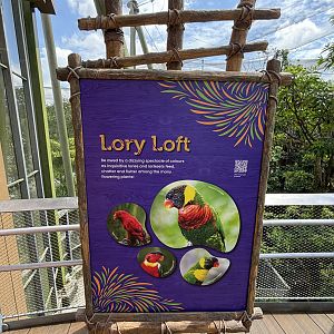 Lory Loft Aviary - 20-25 species