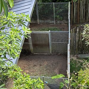 Cassowary Side Exhibits