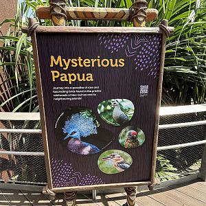 Mysterious Papua Aviary - circa 15 species