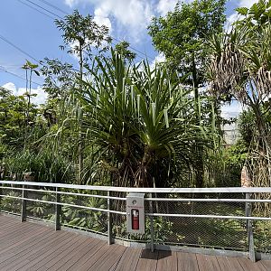 Mysterious Papua Aviary