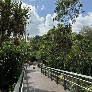 Mysterious Papua Aviary