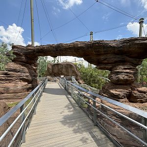 Australian Outback Aviary