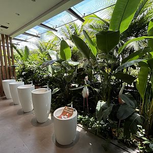 Singapore’s toilets are incredible!