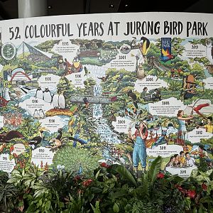 Jurong History Poster