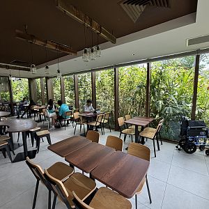 A&W Restaurant + Jungle