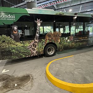 Mandai Shuttle Bus