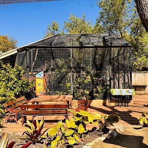 Toilet block aviaries - South American parrots