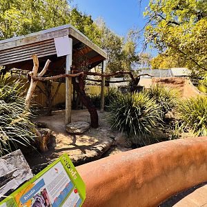 Koala/potoroo/echidna enclosure