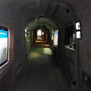 Tunnel system