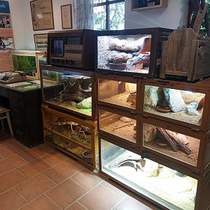 And yet more terraria....