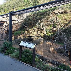 Rakos house - kea aviary