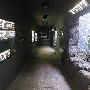 Rakos house - general view